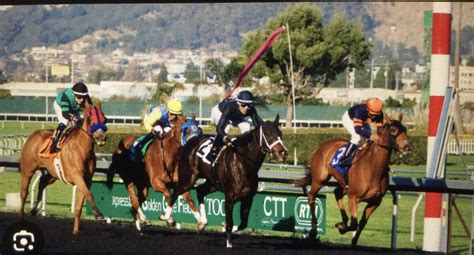 Horse racing synonyms, horse racing antonyms.